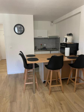 Studio vue sur Montagnes Laruns